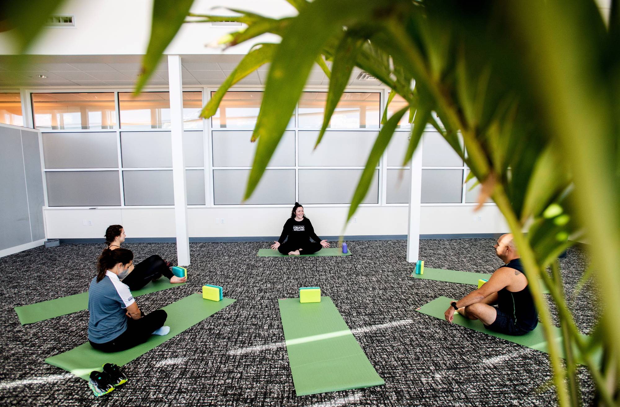 Image of yoga instructor in front of four yoga participants. A plant in the foreground.
